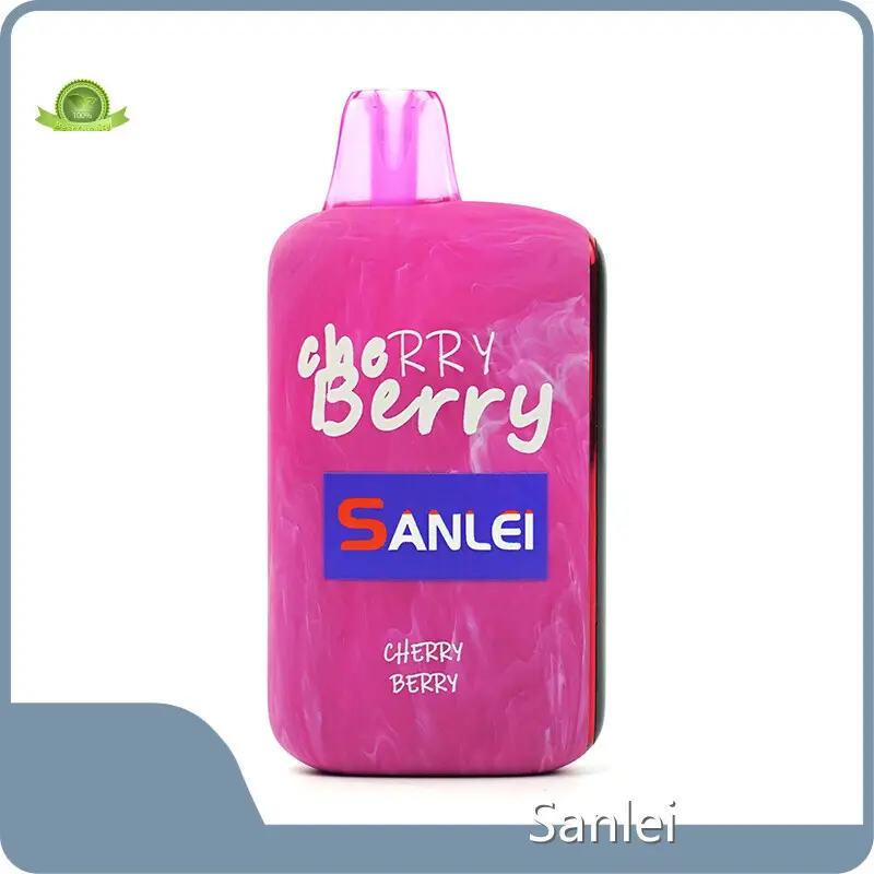 Disposable Cigs Factory for Smokers 1