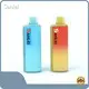 For Adults Disposable Ecigarette by Sanlei Vape 1