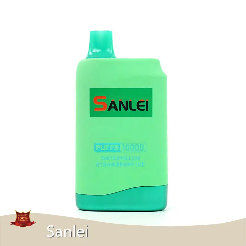 Custom Disposable E Cigarettes for Sale Company 1