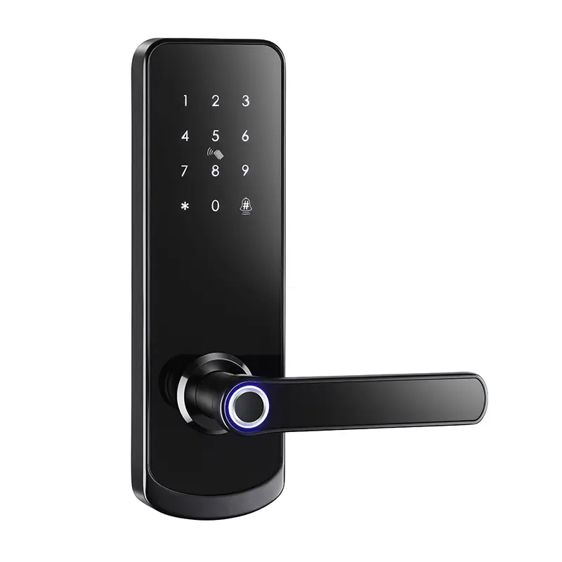 Simple Design Short Panel Lever Handle TUYA TTLock Smart Door Lock 1