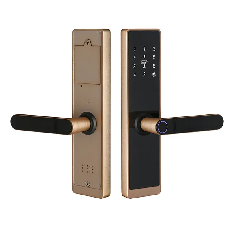 Security Digital Door Lock Tuya Bluetooth Biometric Fingerprint Smart Door Lock 1