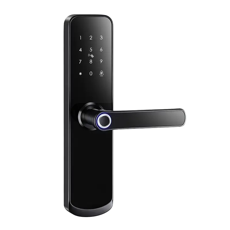 Simple Design Long Panel Lever Handle TUYA TTLock Smart Door Lock 1