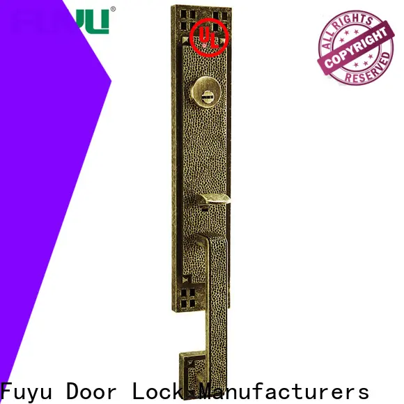 FUYU quality zinc alloy mortise handle door lock on sale for shop 1