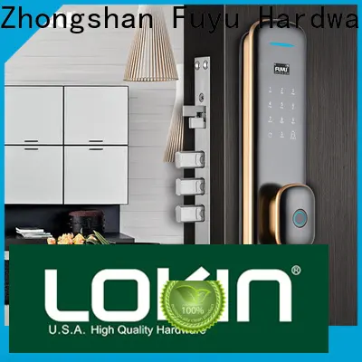 FUYU fingerprint entry door lock on sale for home 1