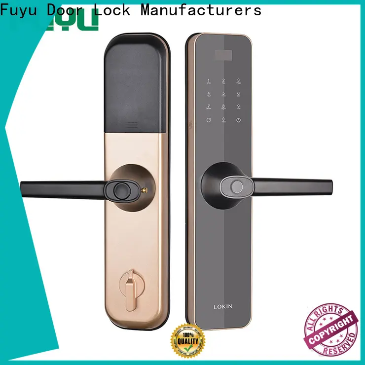 FUYU oem smart home door lock for home 1