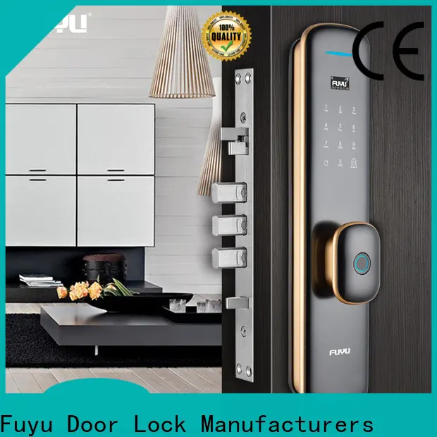 FUYU fingerprint access door lock manufacturer for mall 1