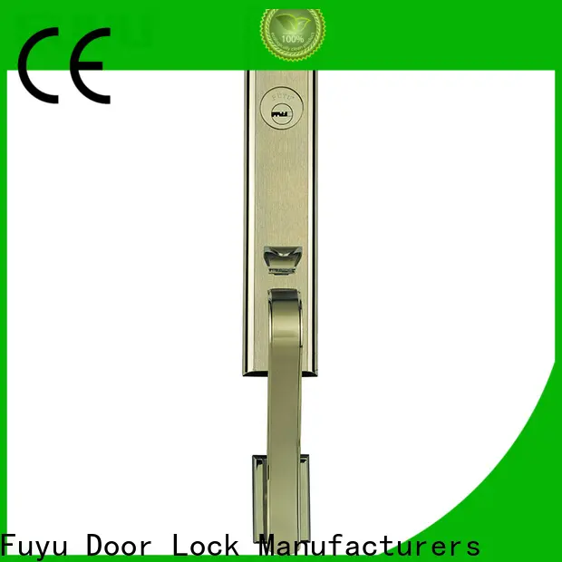 FUYU oem high security door locks manufacturers for mall 1