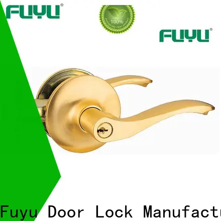 FUYU double cylinder lever lock for business for entry door 1