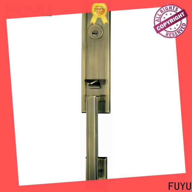 FUYU fuyu fingerprint house door lock in china for entry door 1