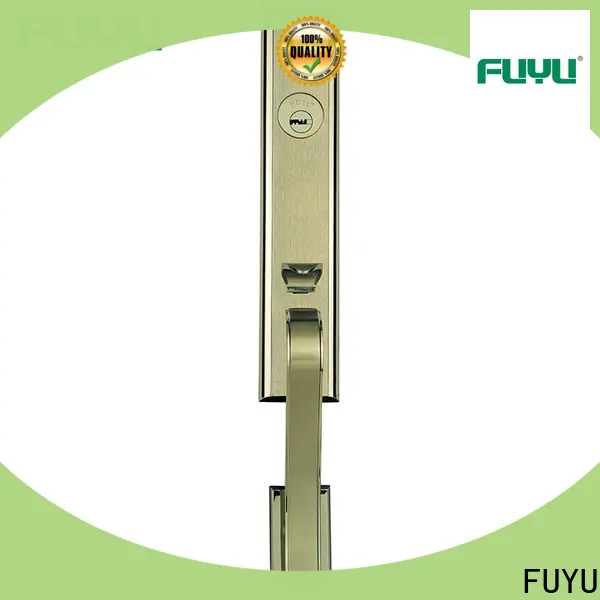 FUYU high-quality electronic fingerprint door lock for business for home 1