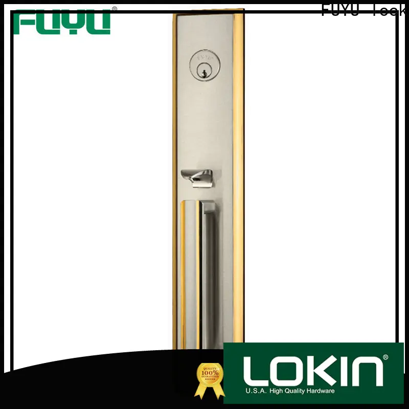 FUYU lock durable digital mortise lock manufacturers for entry door 1