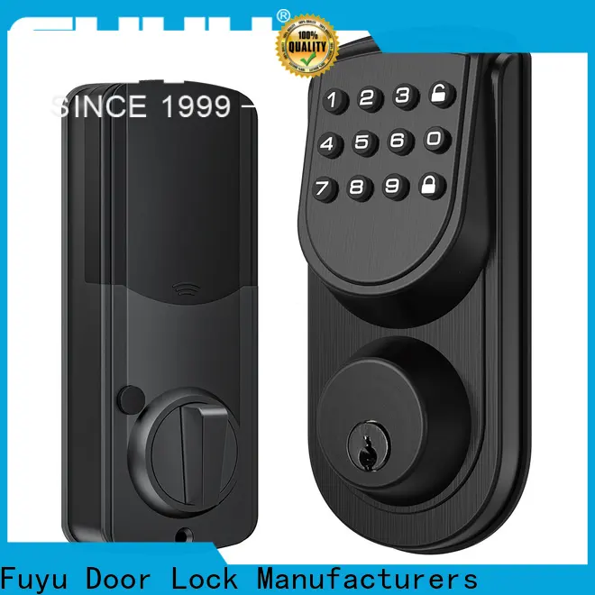 FUYU lock New biometric fingerprint door lock extremely security for door 1