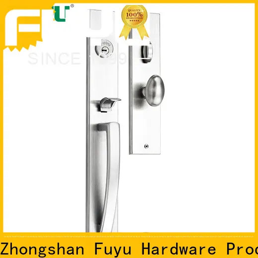 FUYU lock New double sliding door locks for business for shop 1