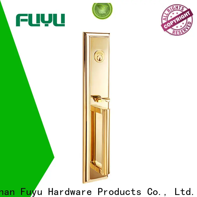 FUYU lock custom digital mortise lock manufacturers for entry door 1