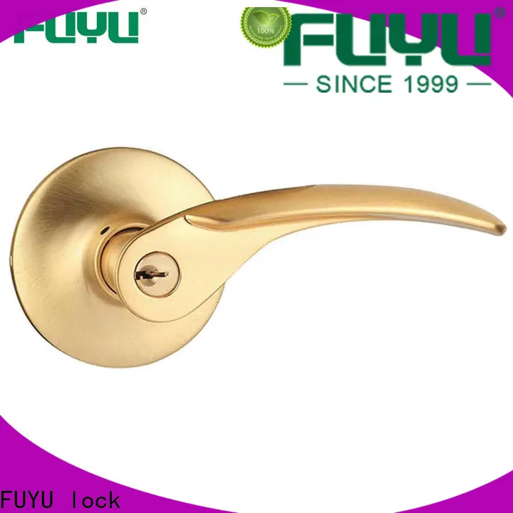 FUYU lock double cylinder lever lock company for entry door 1