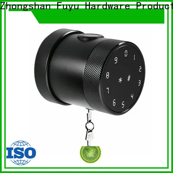 FUYU lock custom automatic door lock for apartment factory for house 1