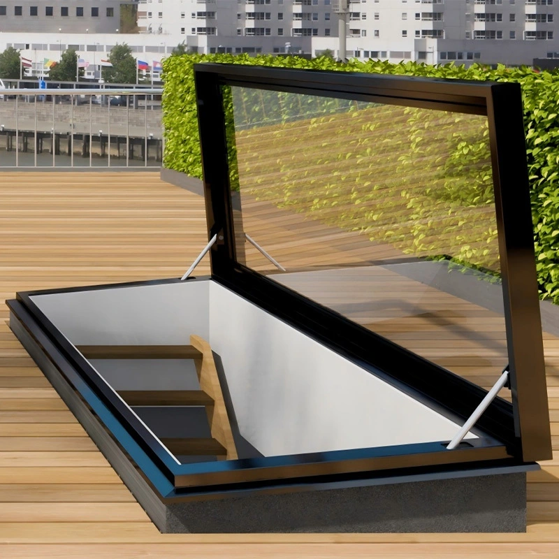 DMS Aluminum Alloy Module Skylight Series 1