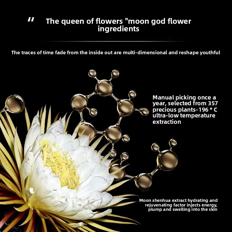 Triwell Best Men's Face Care Factory 4