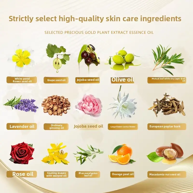 Triwell Best Men's Face Care Factory 5