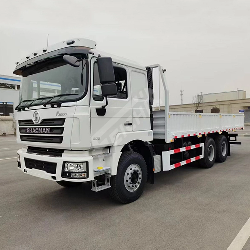 Shacman Cargo Truck F3000 6X4 LHD/RHD 300 HP Heavy Truck 1