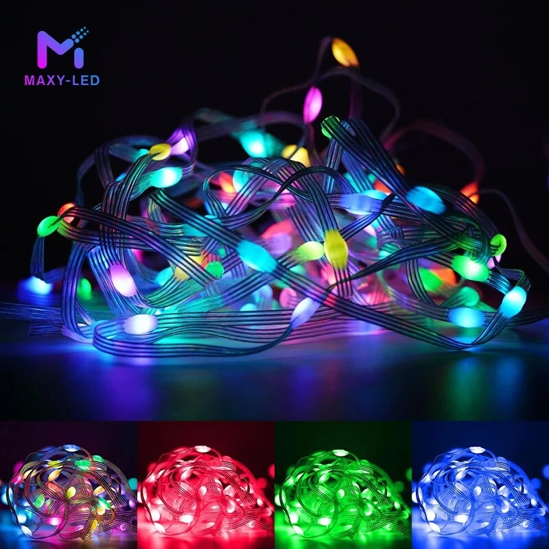 MAXY-LED WS2811 Party Christmas Lights Decoration Room Birthday Decor Led Light Outdoor Waterproof IP67 DC12V LED Seedling Light 1
