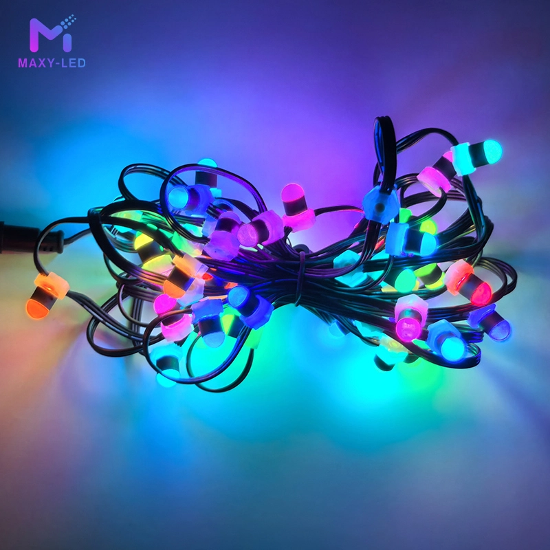 12V WS2811 New Pixel XConnect Pigtails LED Light Source Remote Control Switch IP68 Garden Flat Base Pixel 1