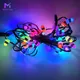 Pixel Lights 5-7 Dayswith Custom Services 7