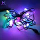 Pixel Lights 5-7 Dayswith Custom Services 8