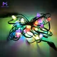 Pixel Lights 5-7 Dayswith Custom Services 9