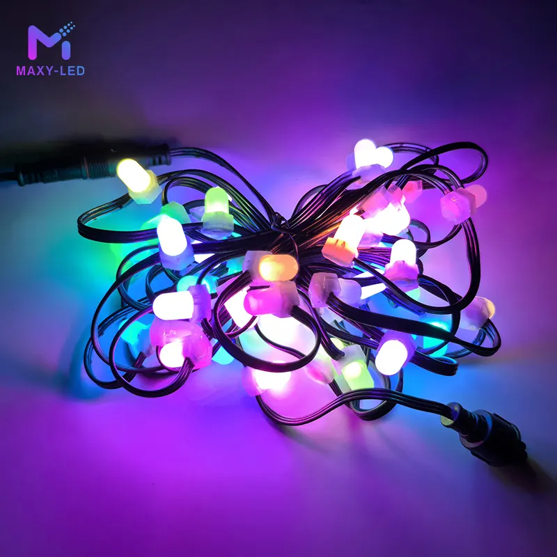 Pixel Lights 5-7 Dayswith Custom Services 10