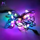 Pixel Lights 5-7 Dayswith Custom Services 10