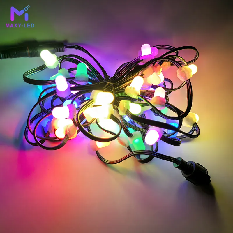 Pixel Lights 5-7 Dayswith Custom Services 11