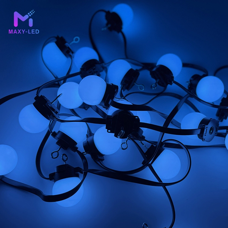 Smart Led Bulb Led Christmas String Light Bulb Parts WS2811 DC12V IP68 1