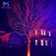 OEM/ODM Solar Powered Led Pathway Lights Solar Powered Led Pathway Lights Company 4