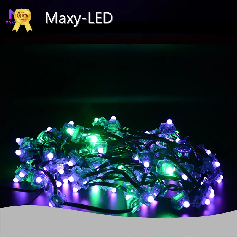 Maxy-LED Led Pixel Lights Fedex Led Pixel Lightswith Custom Services 1