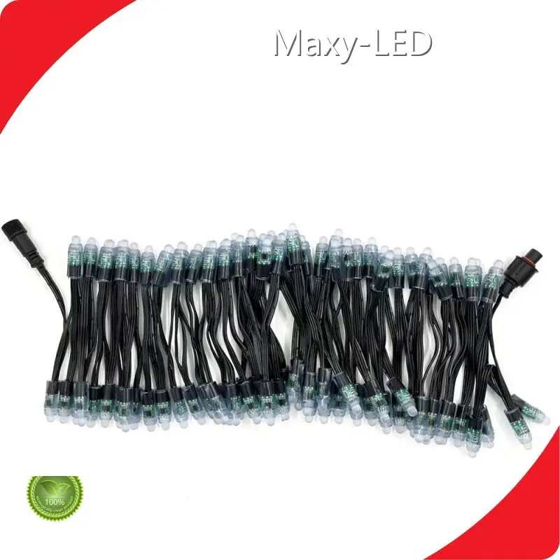 Low-cost Pixel Lights Company 1