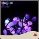 Led Strip Lights 5-7 Days Wholesale - Maxy-LED 1
