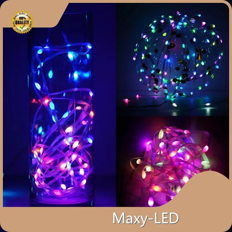 Solar Powered Garden Lights Supportfrom China 1