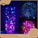 Solar Powered Garden Lights Supportfrom China 1
