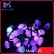 OEM/ODM Led Strip Lights Led Strip Lights Company 1