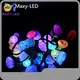 OEM/ODM Led Pixel Lights with Custom Services 1