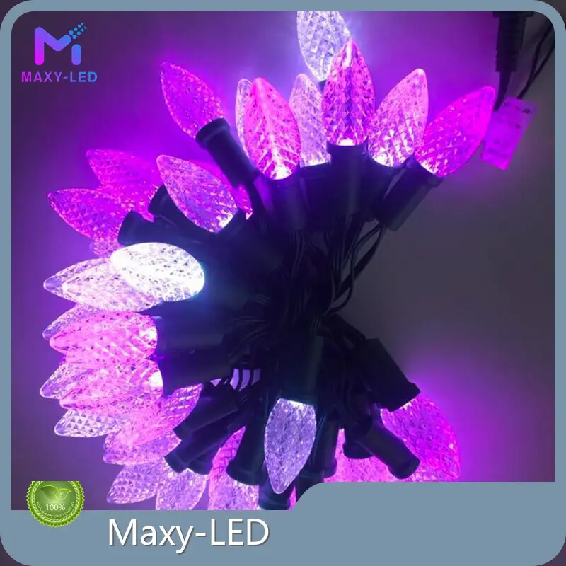 OEM/ODM Pixel Light Led Pixel Light Led Company 1
