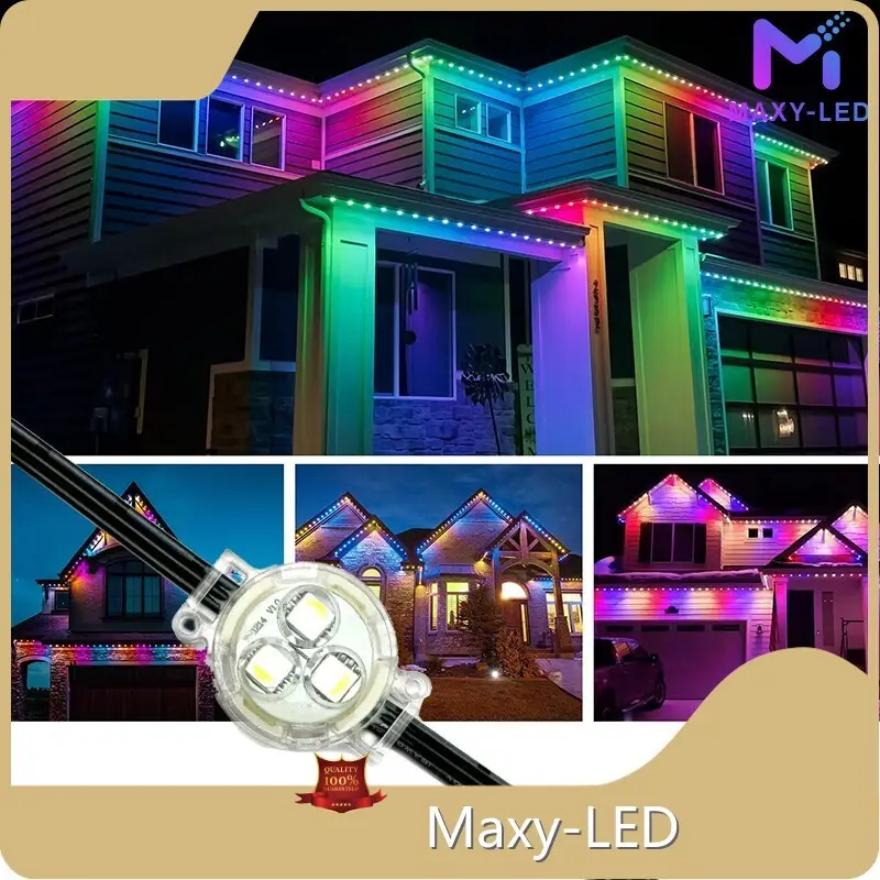 OEM/ODM Led Strip Lights Supplier 1