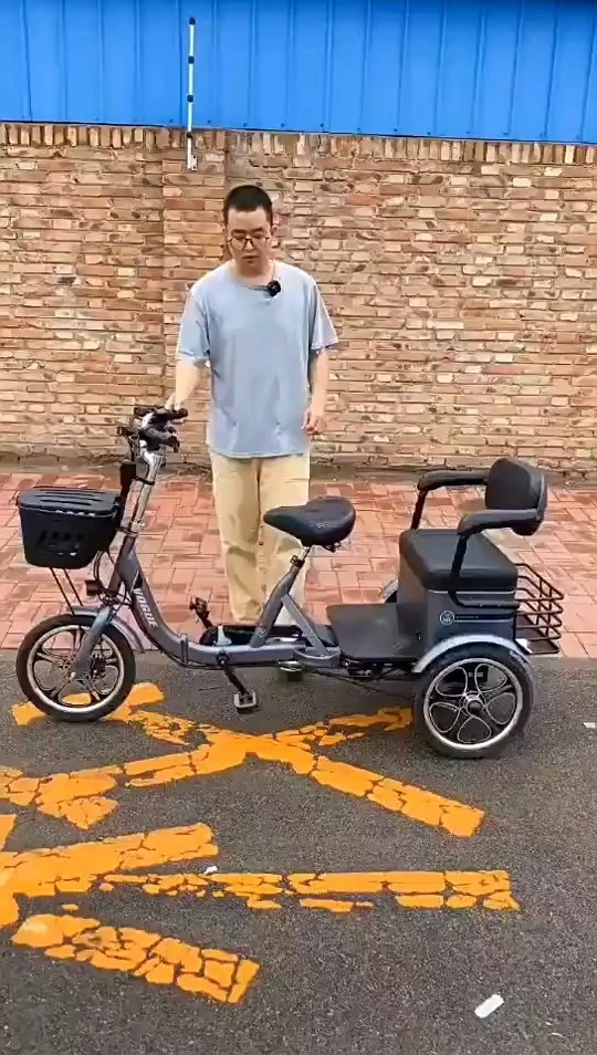 China Electric Tricycle OEM Electric Tricycle Disabled E-tricycle Pedal E Tricycle 1