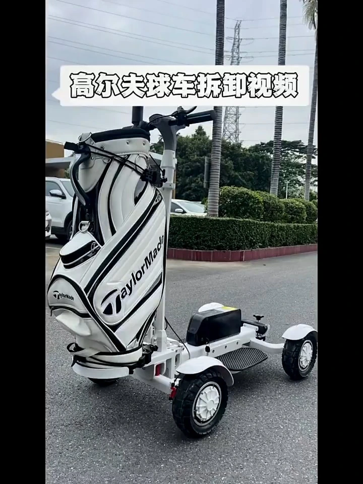 NEW Design Big Power High Torque 48v 2400w Golf Rack Cart Scooter Electric Trolley Four Wheels with Seat 1