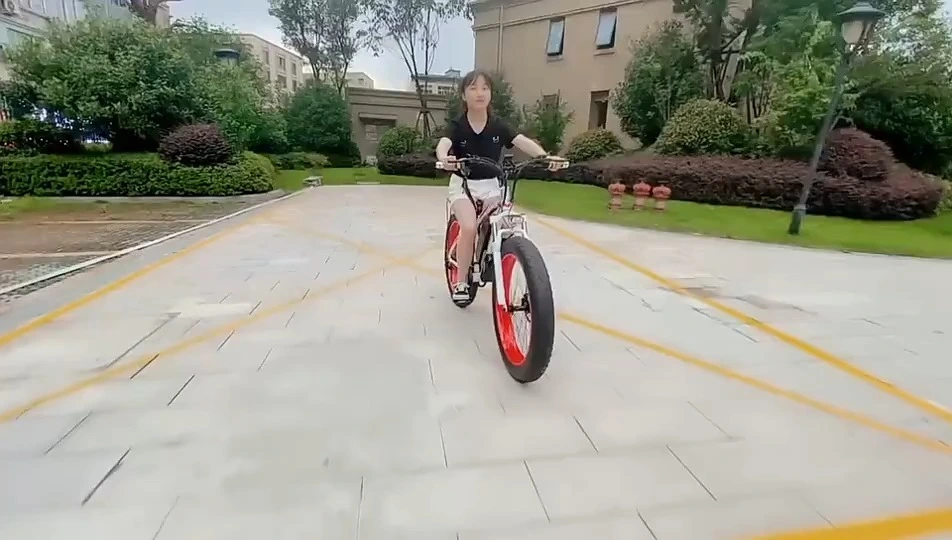 48V 20Ah Electric Hybrid Sports E Bike Dual Motor Electric Dirt Mountain Fat Tire Ebike for Adults 1