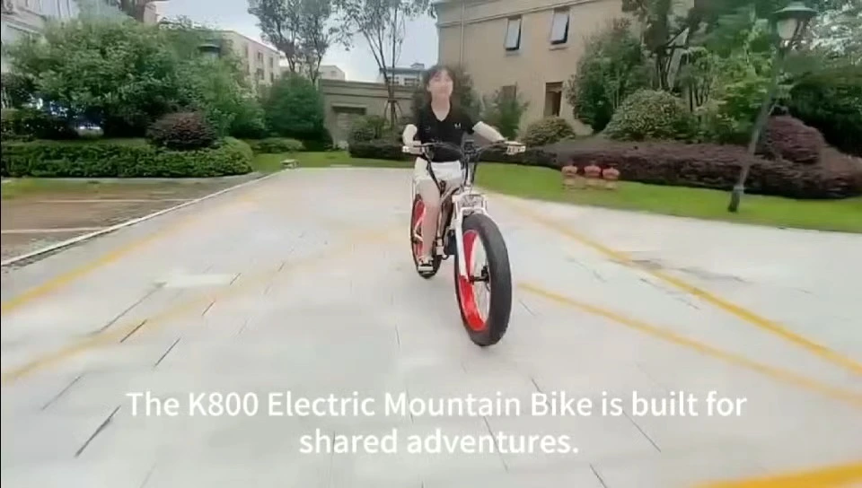 K800 7-Speed Electric Mountain Commuter Bike 48V 23ah Fat Cruise Control Mountain Cargo Delivery Electric Hybrid Bicycle 1