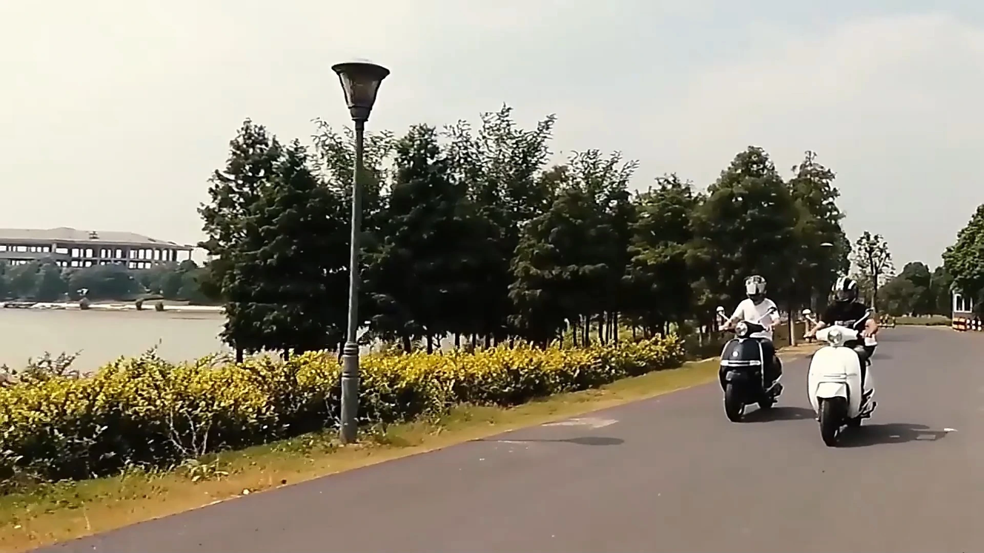 Cool Design Good Quality Fashion Lead Acid Battery Best Electric Scooter for Adult 1