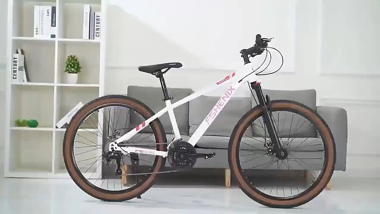 24/26 Inch Mountain Bike Sports Bikes for Men Variable Speed 21/27 Speed Off-road Bike Bicicletas Mountain Bike 29 1