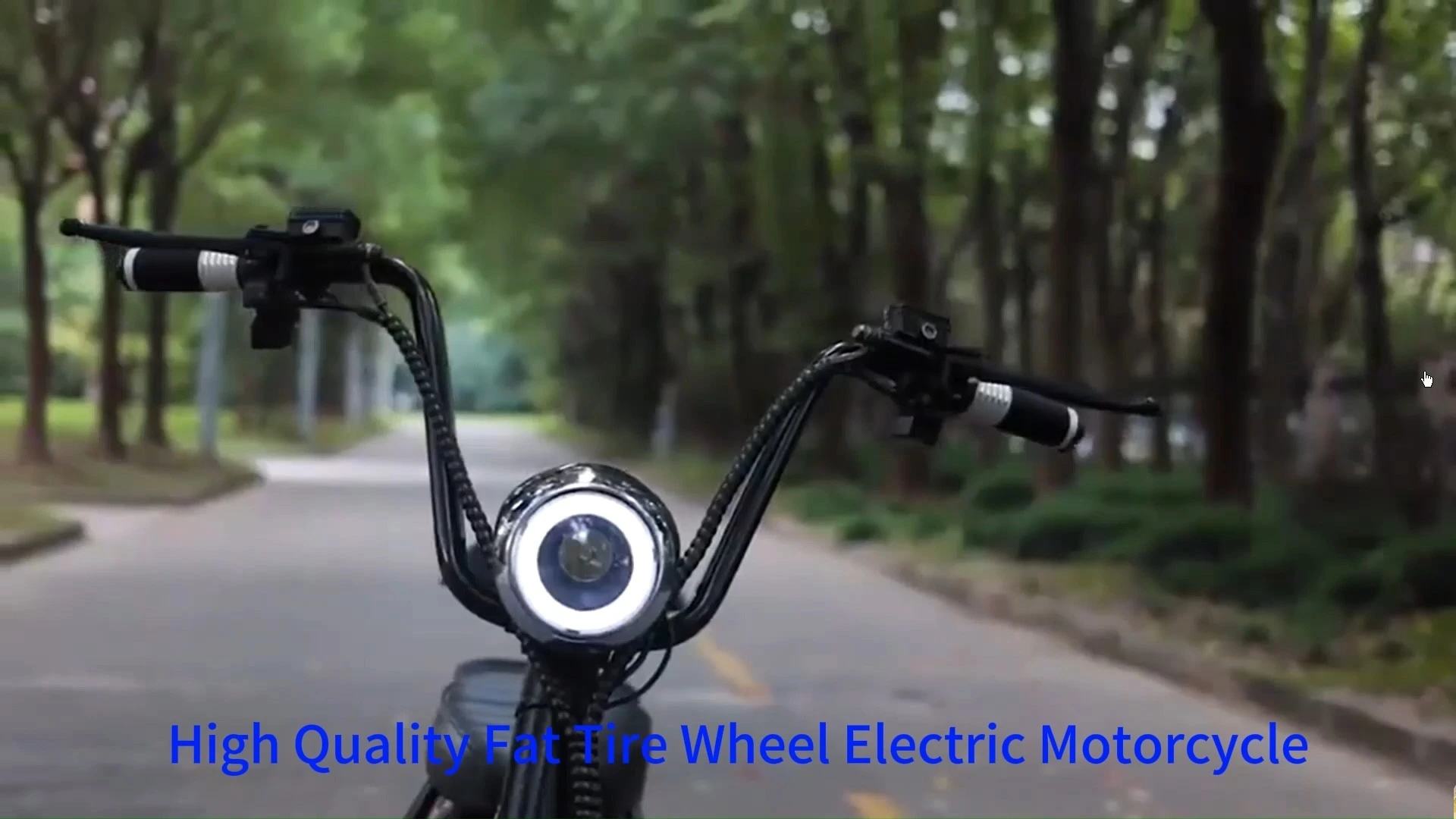 EEC COC Certified Tricycle 2000w Fat Tire Three Wheel Electric Mobility Scooter Trike Factory Price Moped for Adults 1